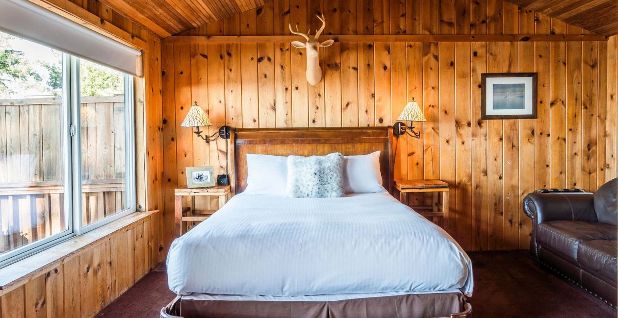 Bed beneath mounted deer head in wood-paneled room in Cabin 2