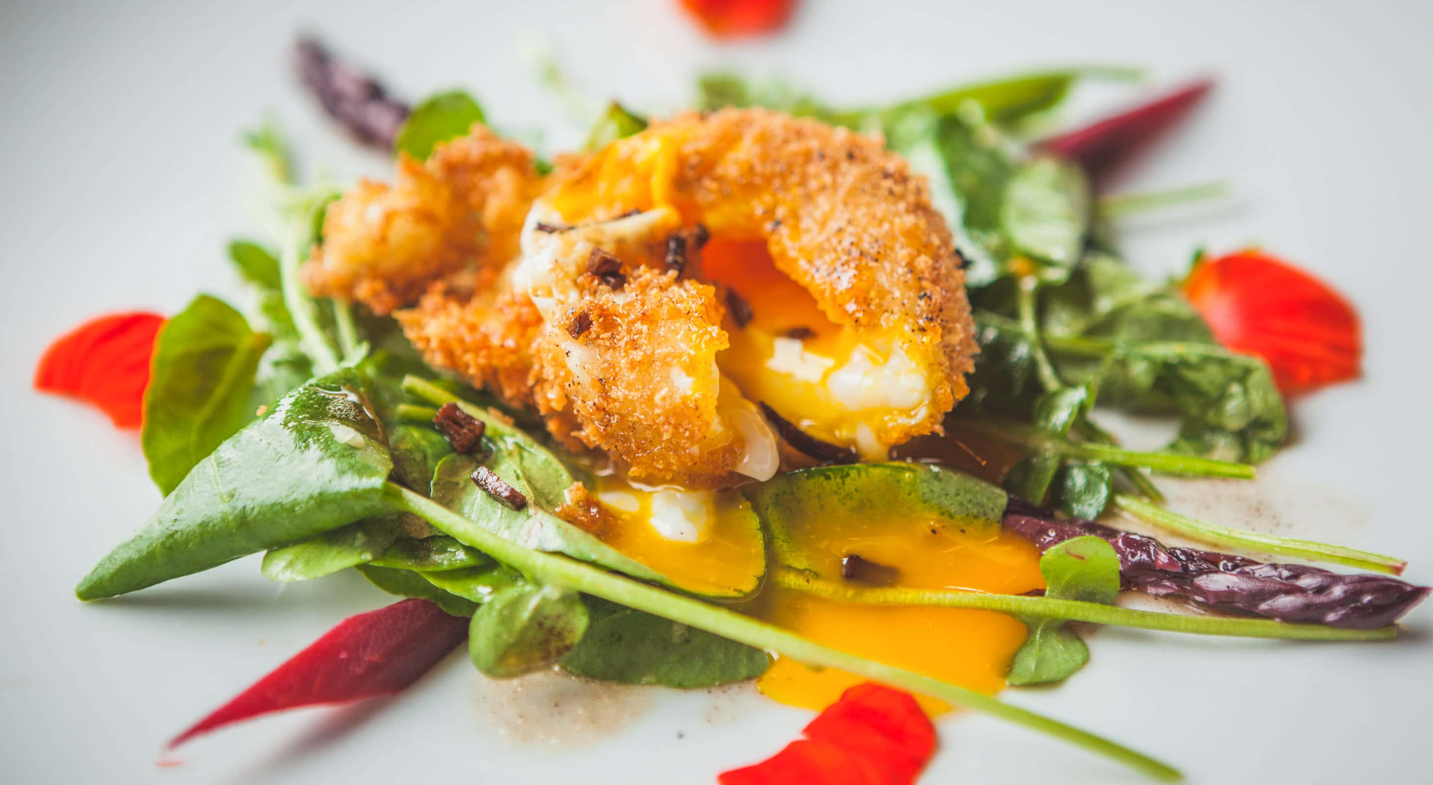 Sonoma Coast & Restaurant Directions to River's End