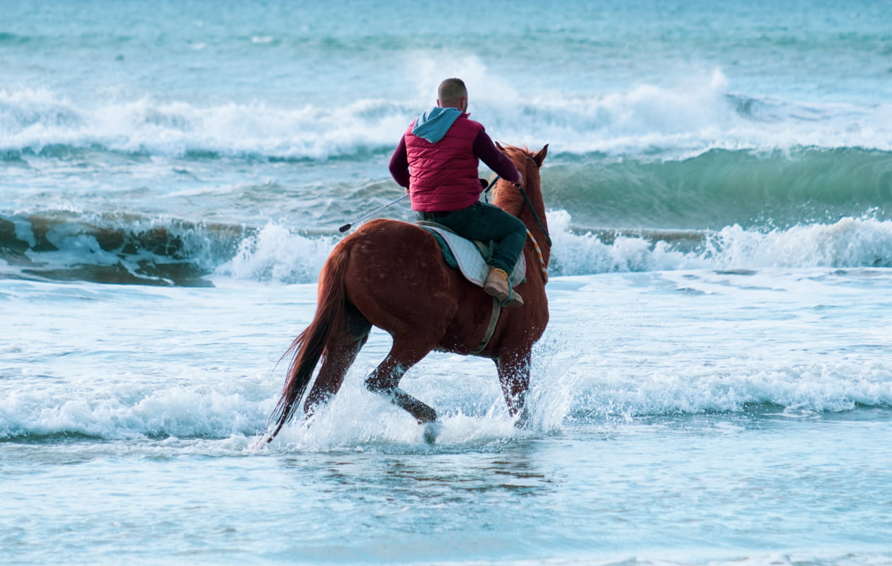 A man on horseback on the beach near the waters edge