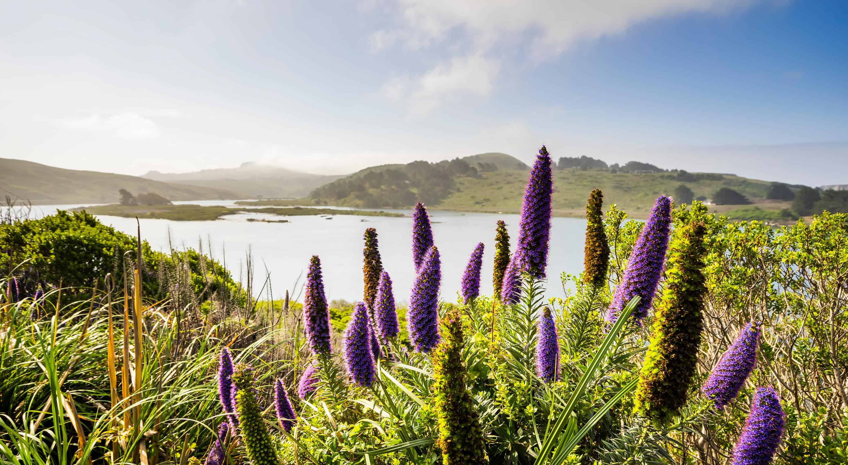 View of the Russian River from the Riverʻs End Restaurant